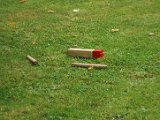 Barbecue 2015 - 184.jpg